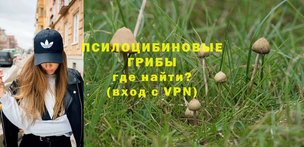 сатива Армянск