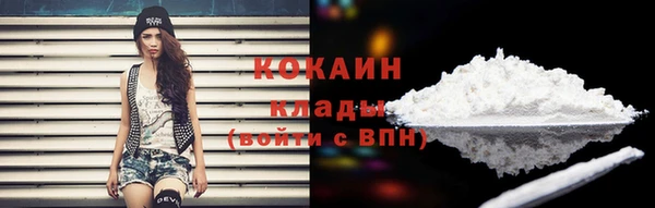 сатива Армянск