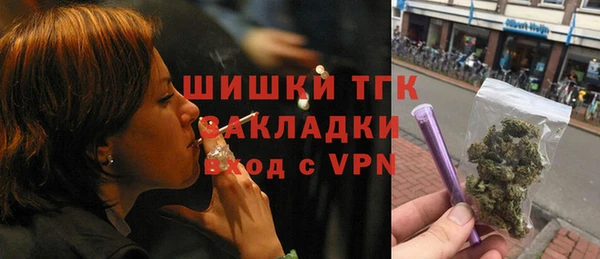 сатива Армянск