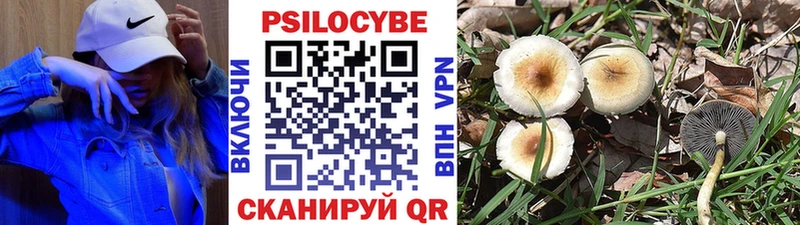 блэк спрут ССЫЛКА  Бакал  Псилоцибиновые грибы прущие грибы  наркотики 
